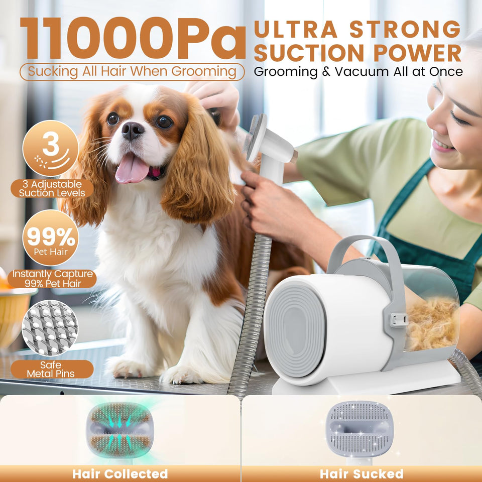 PG50 Plus Dog Grooming Vacuum Kit – 7 Tools, 11000Pa, Nail Trimmer & Clipper