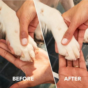 Dremel PawControl 7760-PGK Cordless Pet Nail Grinder & Trimmer